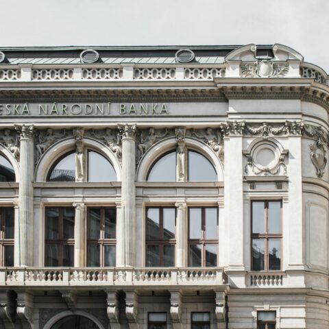 white and gray building